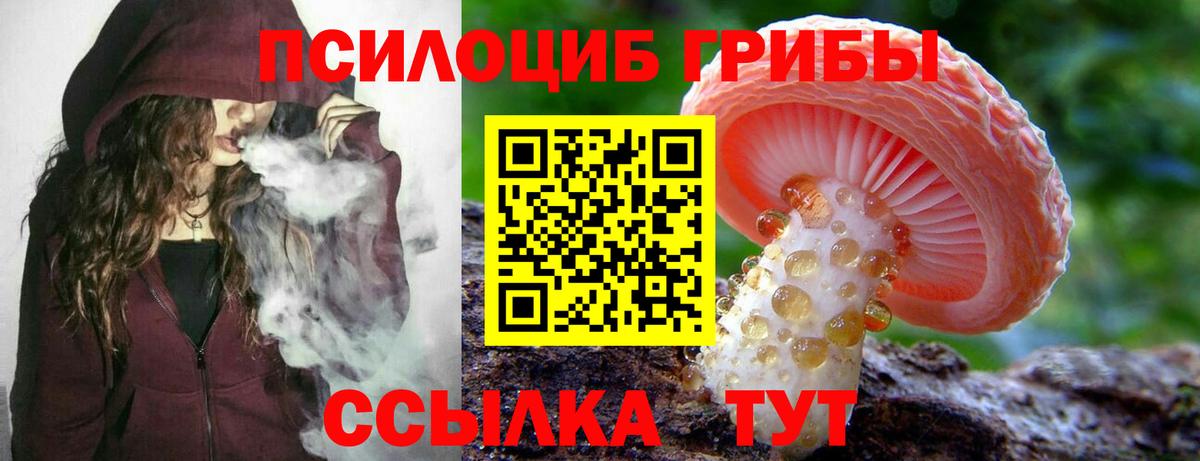 Кимры  Псилоцибиновые грибы GOLDEN TEACHER  Псилоцибиновые грибы ЛСД  Вход с VPN 